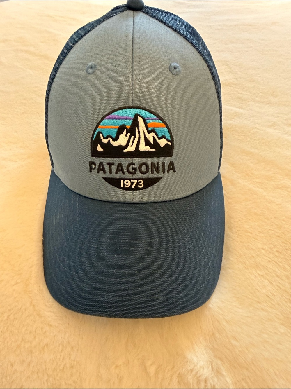 Patagonia Gray and Navy Trucker Hat with Mountain Logo